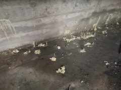 大连天实建筑工程有限公
